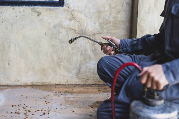 Best Wasp Removal Services  in Manchester, PA